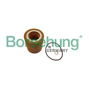 B10462 Borsehung