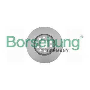 B11378 Borsehung