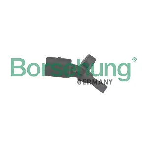 B12868 Borsehung