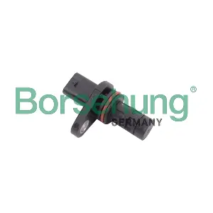 B11885 Borsehung