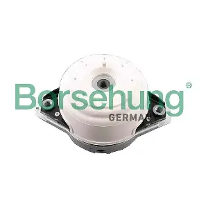 B12657 Borsehung