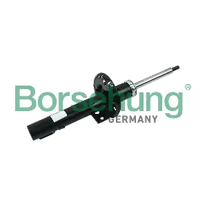 B17894 Borsehung