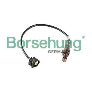 Borsehung B12570