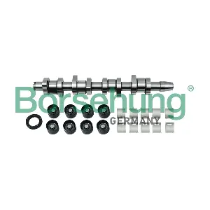 B18664 Borsehung