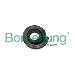 Borsehung B19069