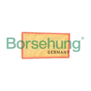 B12401 Borsehung