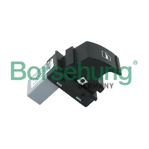 B11415 Borsehung