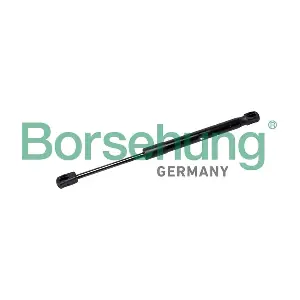 B12478 Borsehung