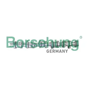 B12299 Borsehung
