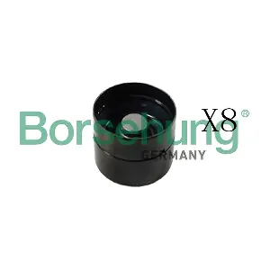 Borsehung B16920