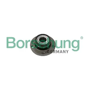 Borsehung B11289