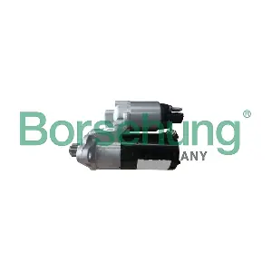 B12869 Borsehung
