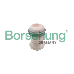 B10008 Borsehung