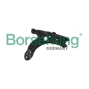 B12956 Borsehung