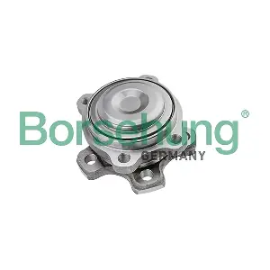 Borsehung B11710