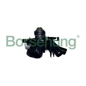 B10557 Borsehung