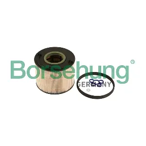 B12201 Borsehung