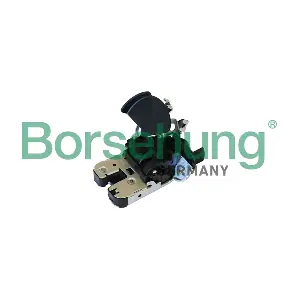 B10273 Borsehung