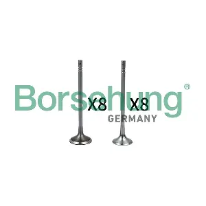 Borsehung B18633