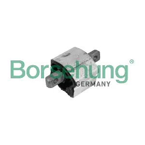 B13044 Borsehung