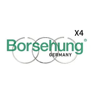 B18815 Borsehung