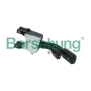 B17955 Borsehung