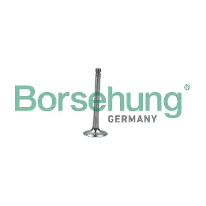 B19008 Borsehung