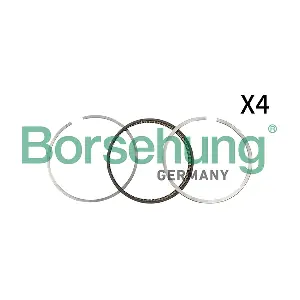B18811 Borsehung