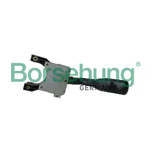 B17954 Borsehung