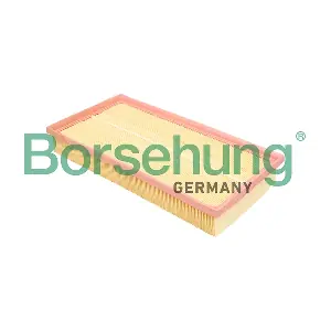 Borsehung B18293