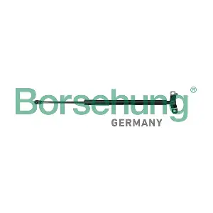 B12071 Borsehung