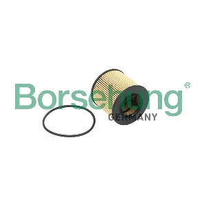 Borsehung B12821