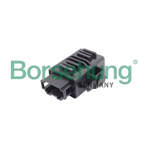B18913 Borsehung