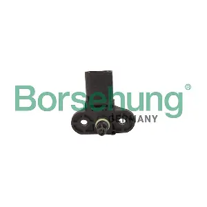 B12935 Borsehung