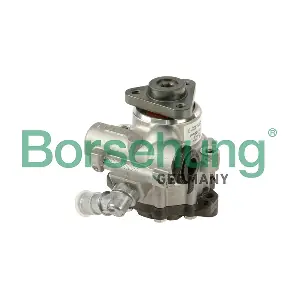 4B0145156N BORSEHUNG