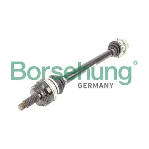 Borsehung B12485