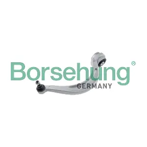 B10850 Borsehung