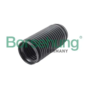 Borsehung B19167