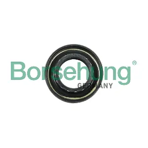 Borsehung B12194