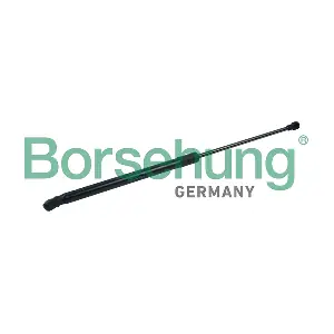 B14194 Borsehung