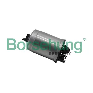 B10471 Borsehung