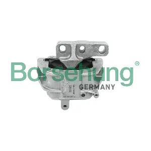 B18732 Borsehung