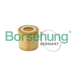 B12219 Borsehung