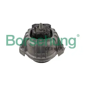 B12642 Borsehung
