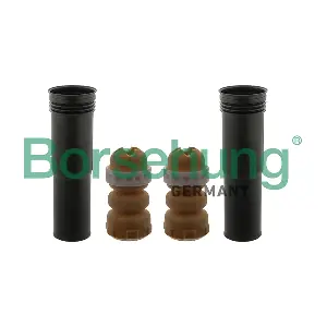 B10026 Borsehung