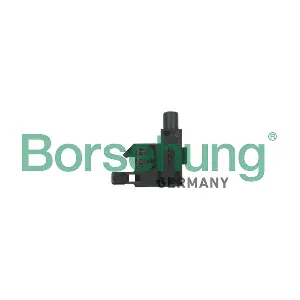 B18201 Borsehung