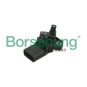 B13675 Borsehung