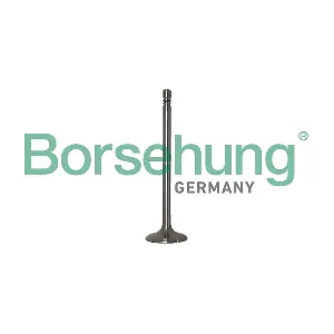 Borsehung B10347