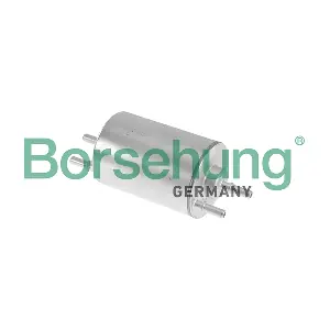 B10479 Borsehung