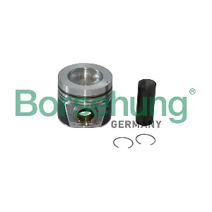 Borsehung B19299